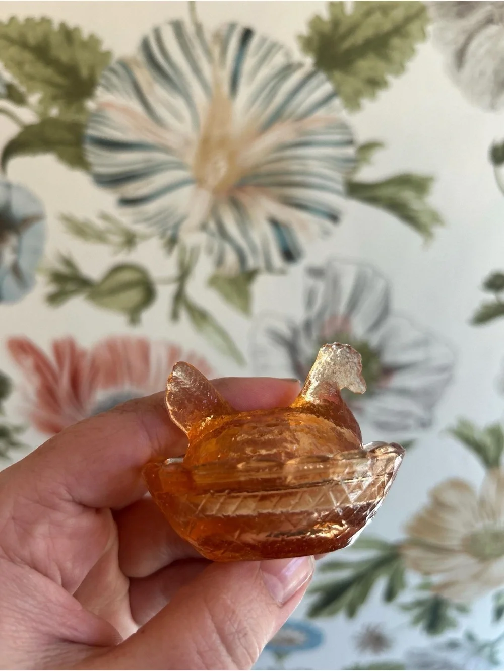 N/A sweet miniature